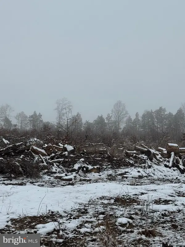 000 Old Mill Rd, MIDLAND, VA 22728