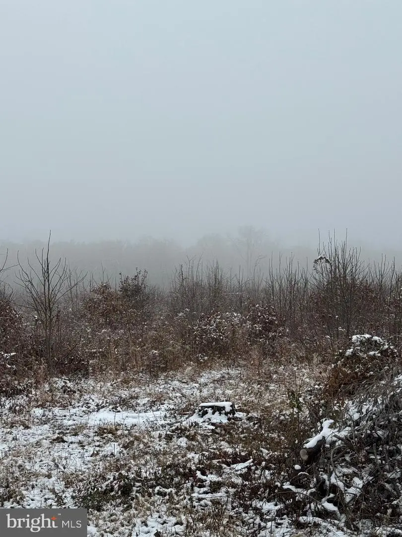 000 Old Mill Rd, Midland, VA 22728 - Image #3