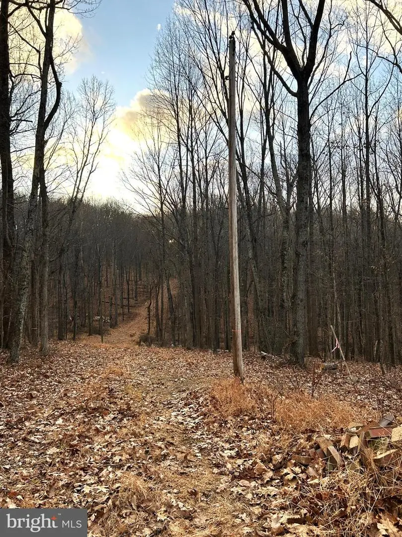 Lot 7 Snow Mountain Rd, Broad Run, VA 20137 - Image #3