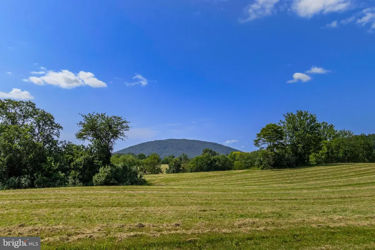 Clarendon Farm Dr, Marshall, VA 20115 - #1