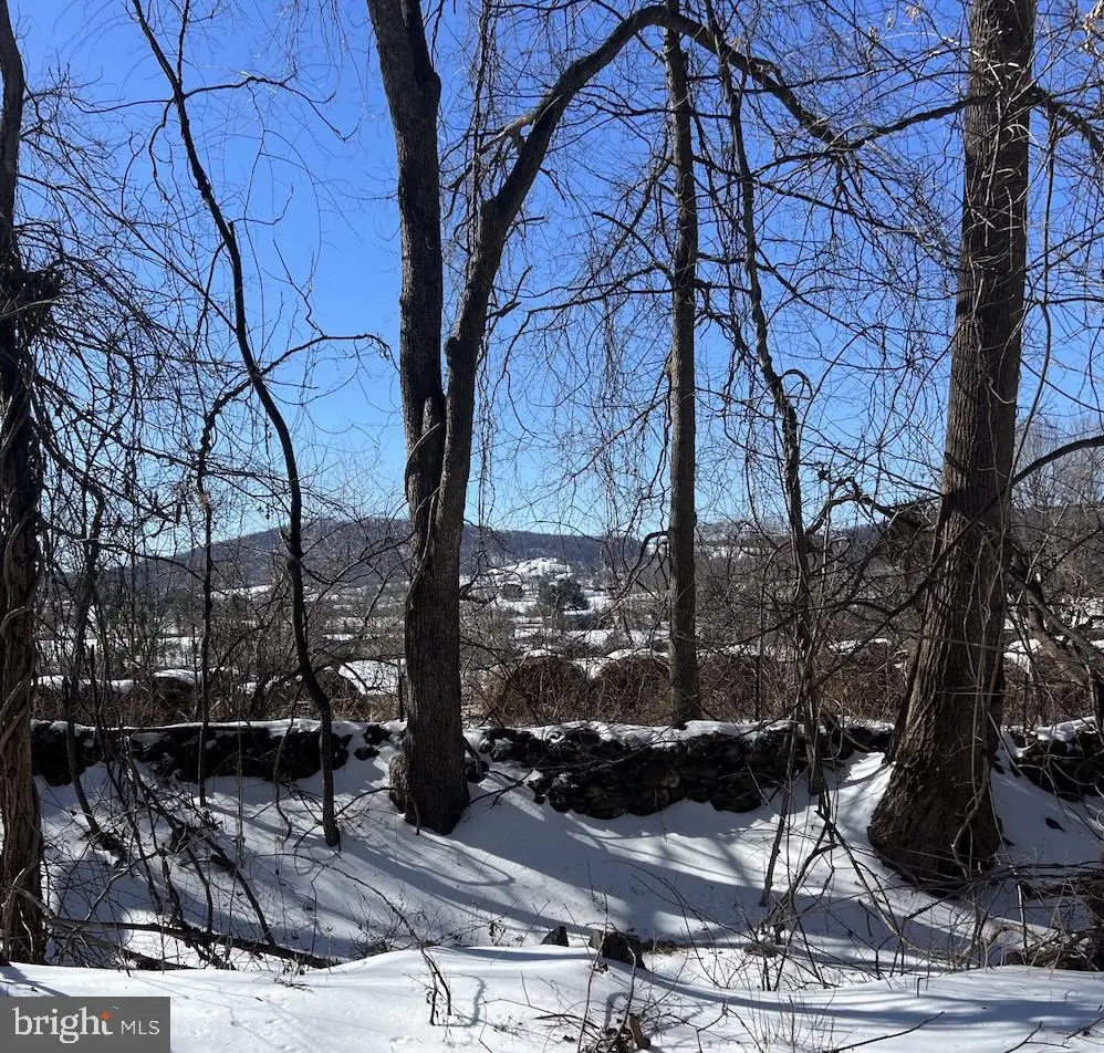 Carleton Ln, The Plains, VA 20198 - #1