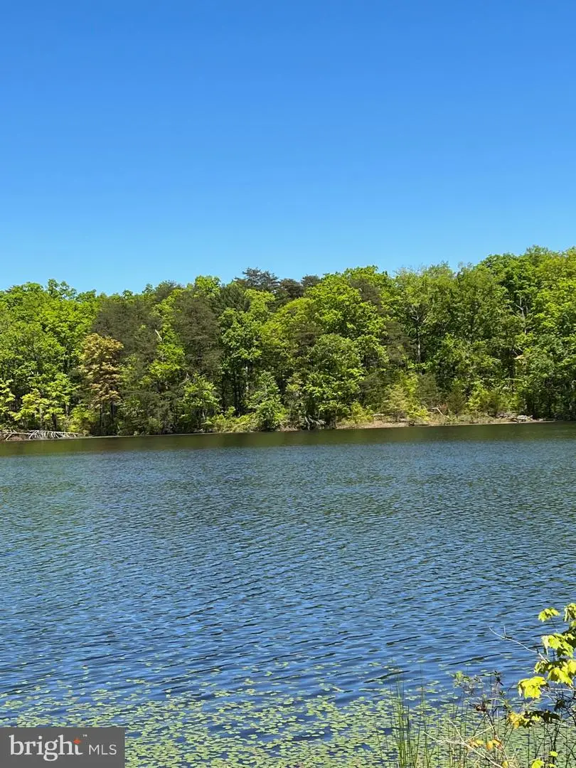 Elk Run, Bealeton, VA 22712 - #2