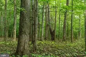 3964 Hidden Valley Ln, MARSHALL, VA 20115