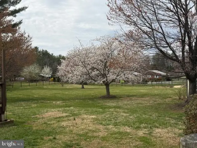 6774 Grays Mill Rd, Warrenton, VA 20187 - #3