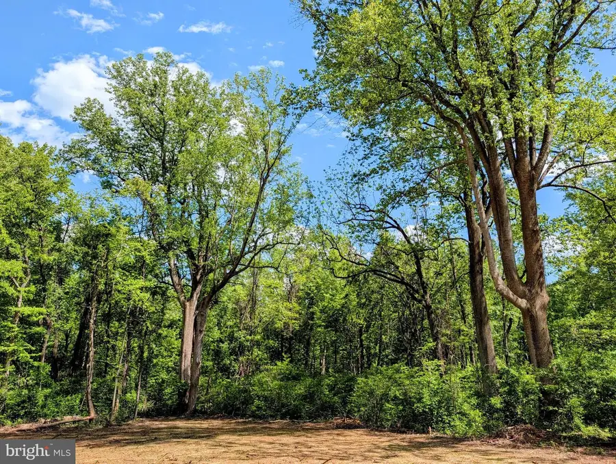3964 Hidden Valley Ln, Linden, VA 22642 - #2