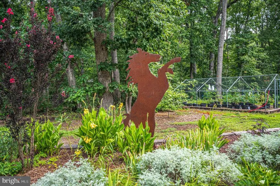 5099 Courtneys Corner Rd, Sumerduck, VA 22742 - #2