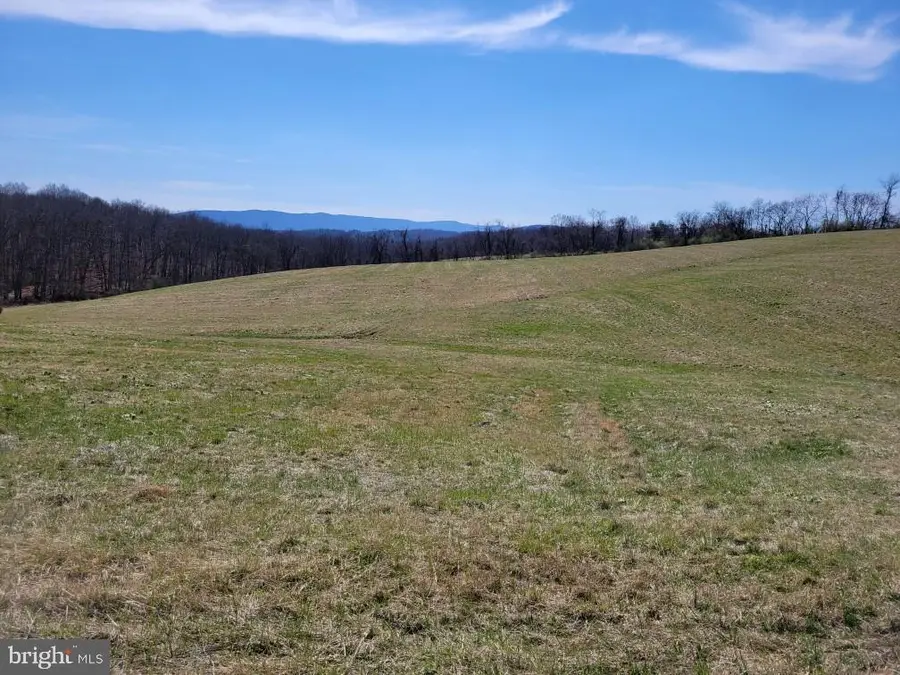Red Oak Road, Cross Junction, VA 22625 - #3