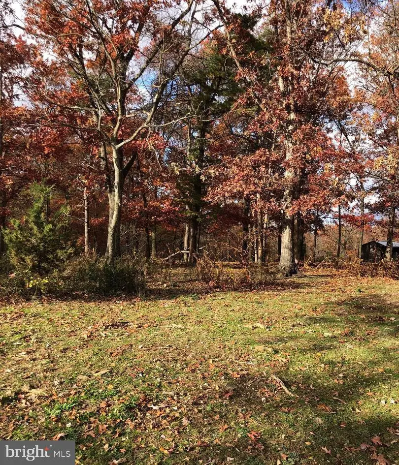 830 Mcdonald Rd, Winchester, VA 22602 - Image #2