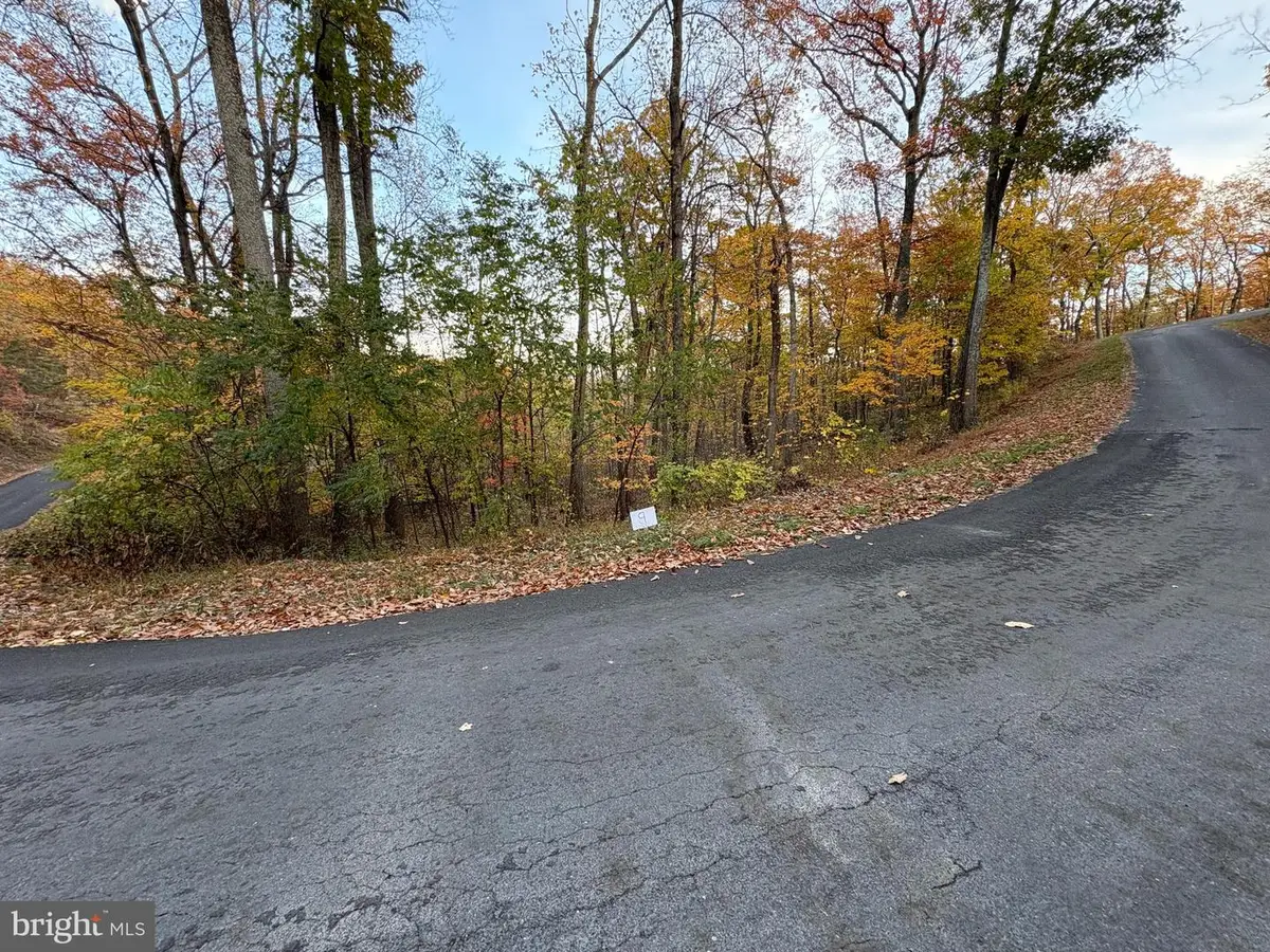 Lot 9 Dogwood Trl, Shawneeland, VA 22602 - Image #1