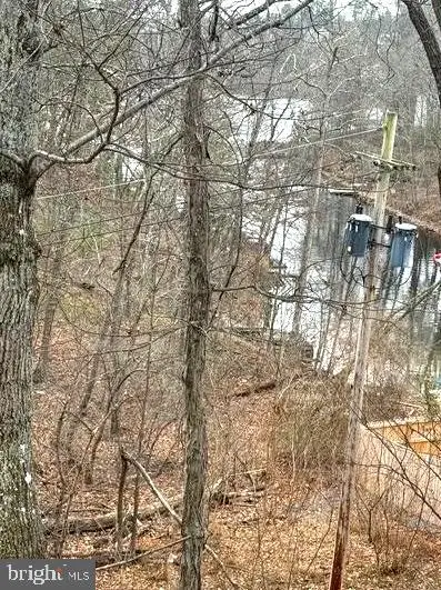 109 Sycamore Pl, Cross Junction, VA 22625 - Image #2