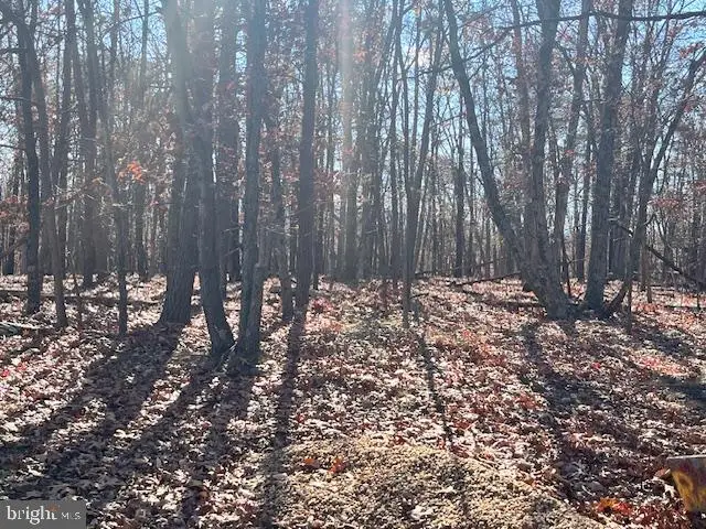 0 Three Oaks Ln, Gore, VA 22637 - Image #3