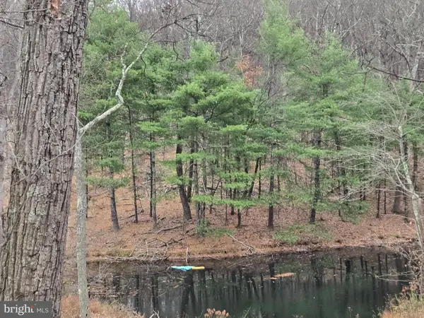 0 Shockeysville Rd, WINCHESTER, VA 22603