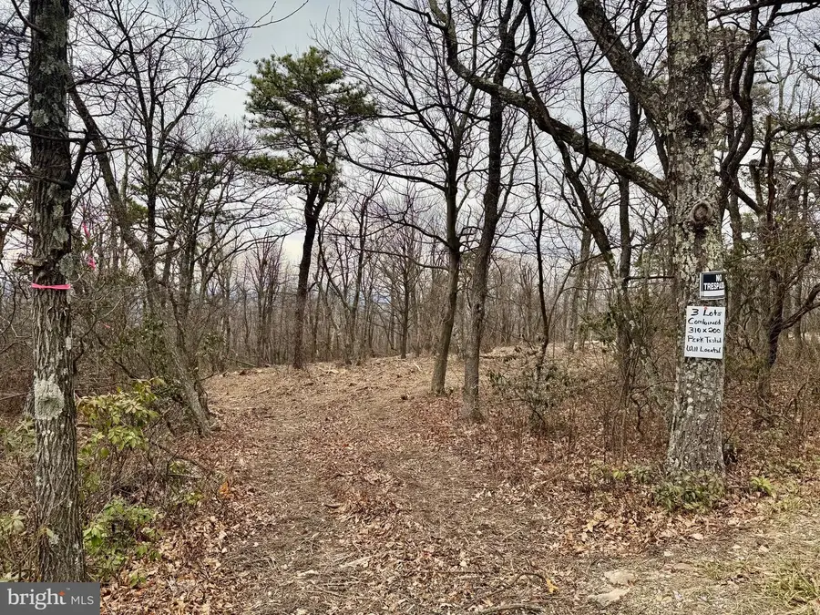 -lot 153 Bobcat Trl, Winchester, VA 22602 - Image #3