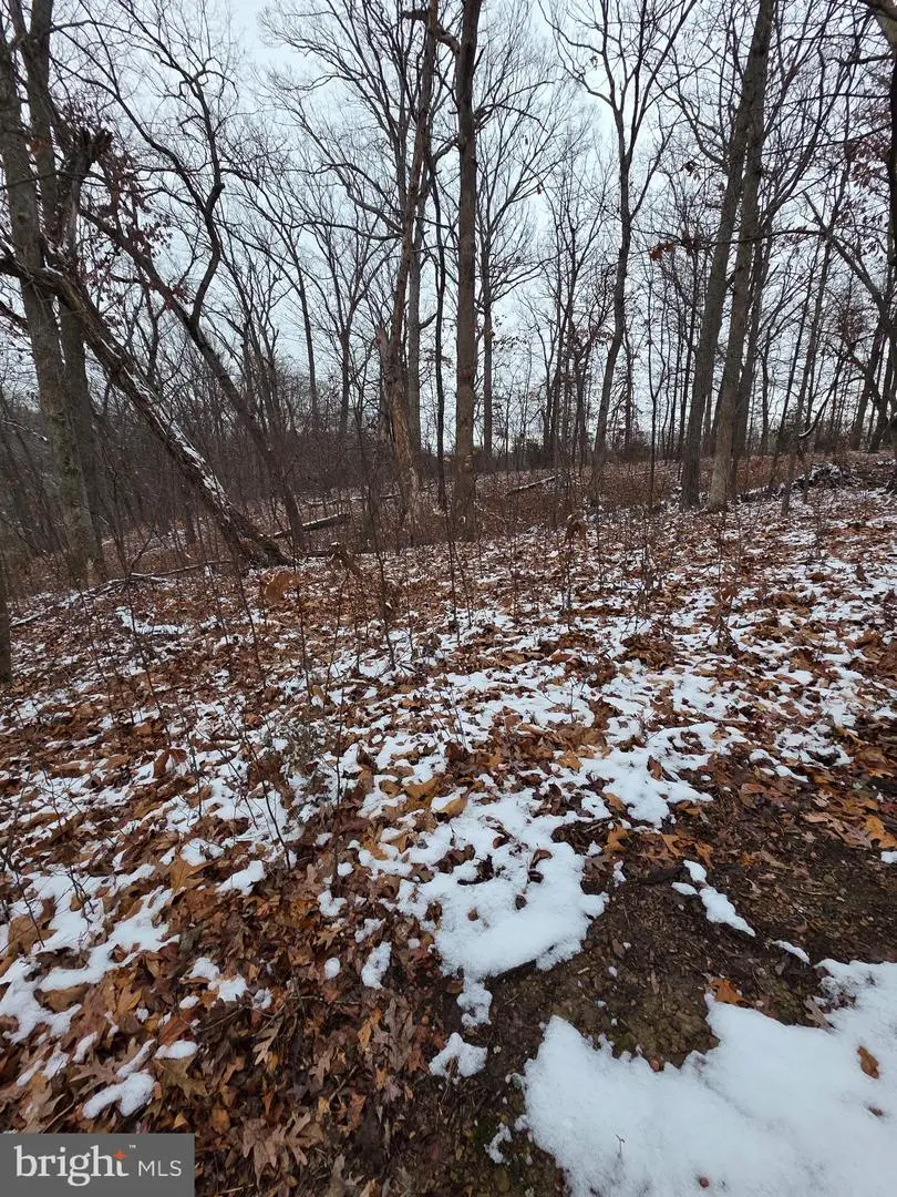 Huttle, Middletown, VA 22645 - Image #3