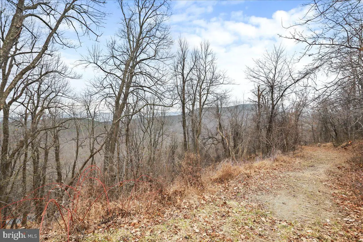 Tbd Sw Slope Lane, Star Tannery, VA 22654 - Image #1