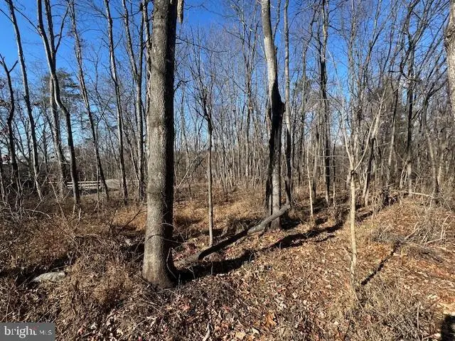 105 Quail Ct, Cross Junction, VA 22625 - Image #2