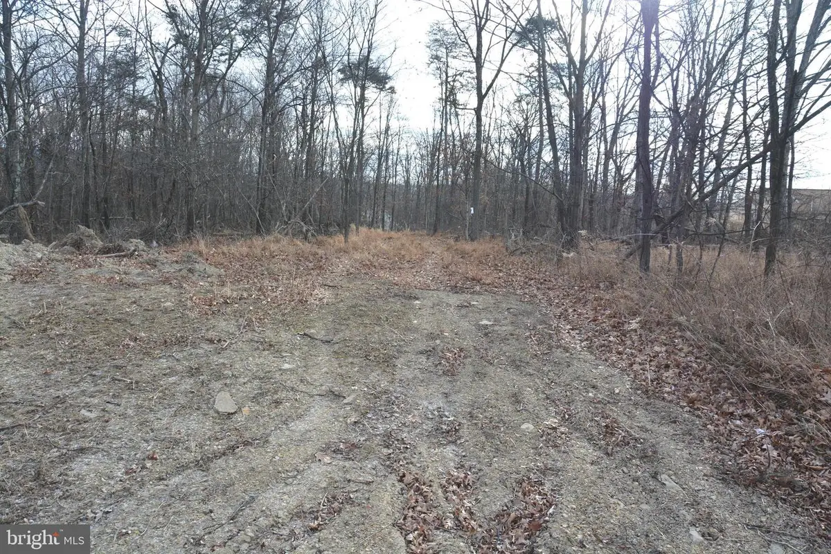 N Timber Ridge Rd #lot 1 (54), Cross Junction, VA 22625 - Image #1