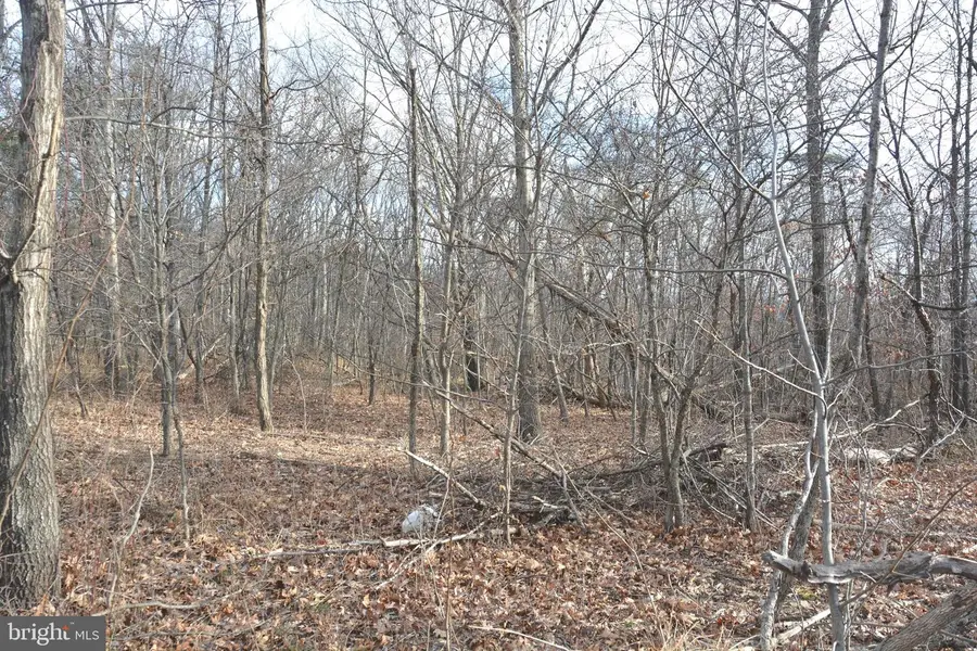 N Timber Ridge Rd #lot 1 (54), Cross Junction, VA 22625 - Image #3