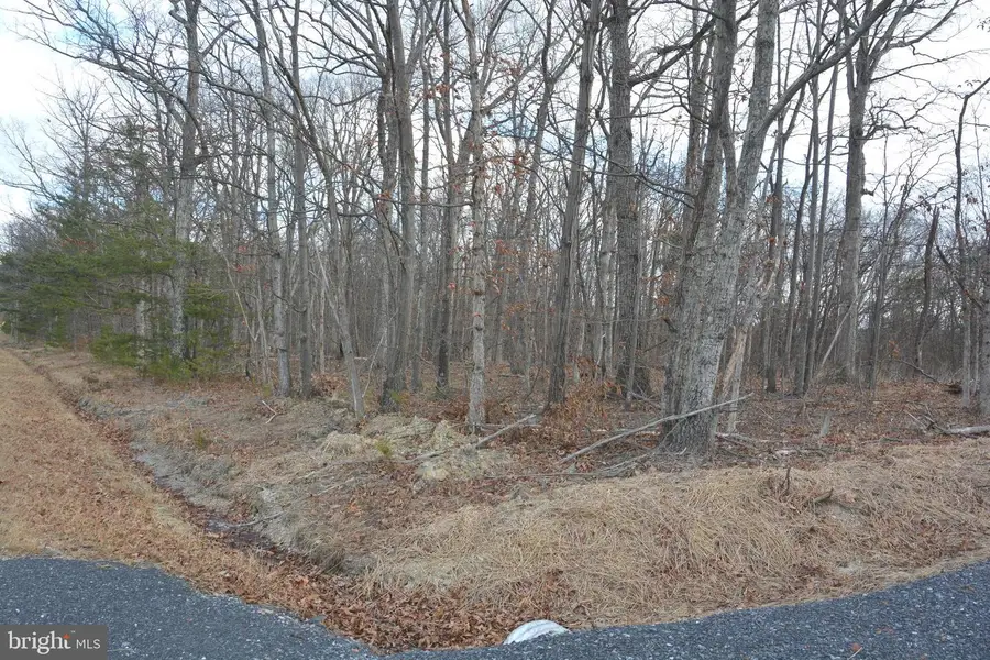 N Timber Ridge Rd #lot 2 (54a), Cross Junction, VA 22625 - Image #3