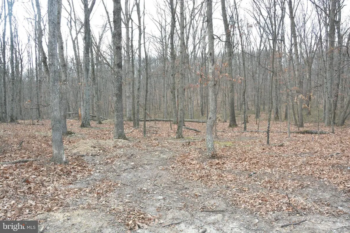 N Timber Ridge Rd #lot 4 (60 A), Cross Junction, VA 22625 - Image #1