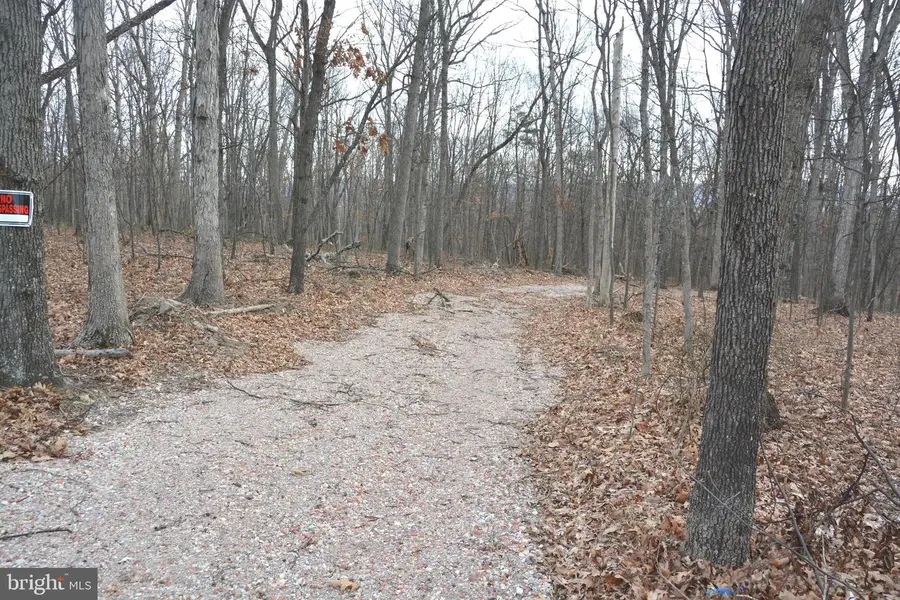N Timber Ridge Rd #lot 4 (60 A), Cross Junction, VA 22625 - Image #3