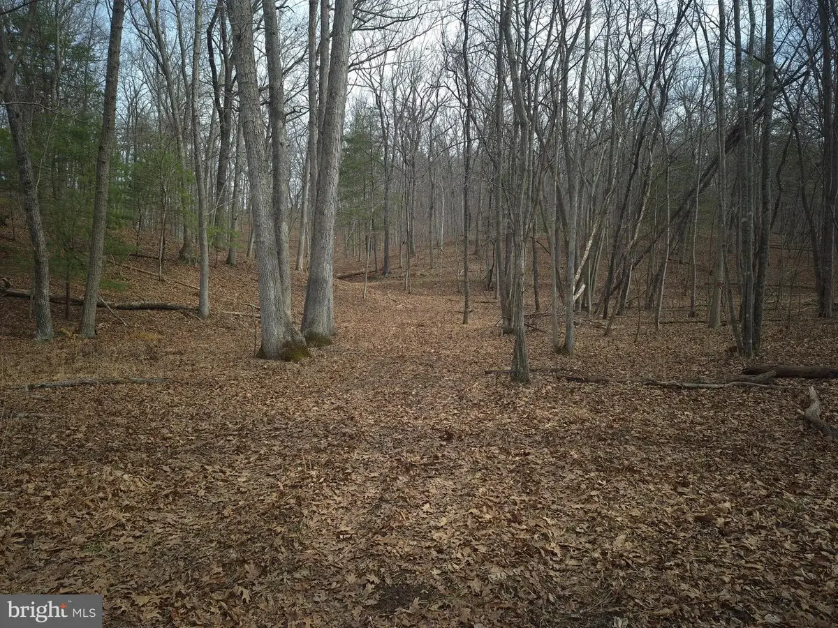 Lot 16 Hodges Ln, Winchester, VA 22603 - #1