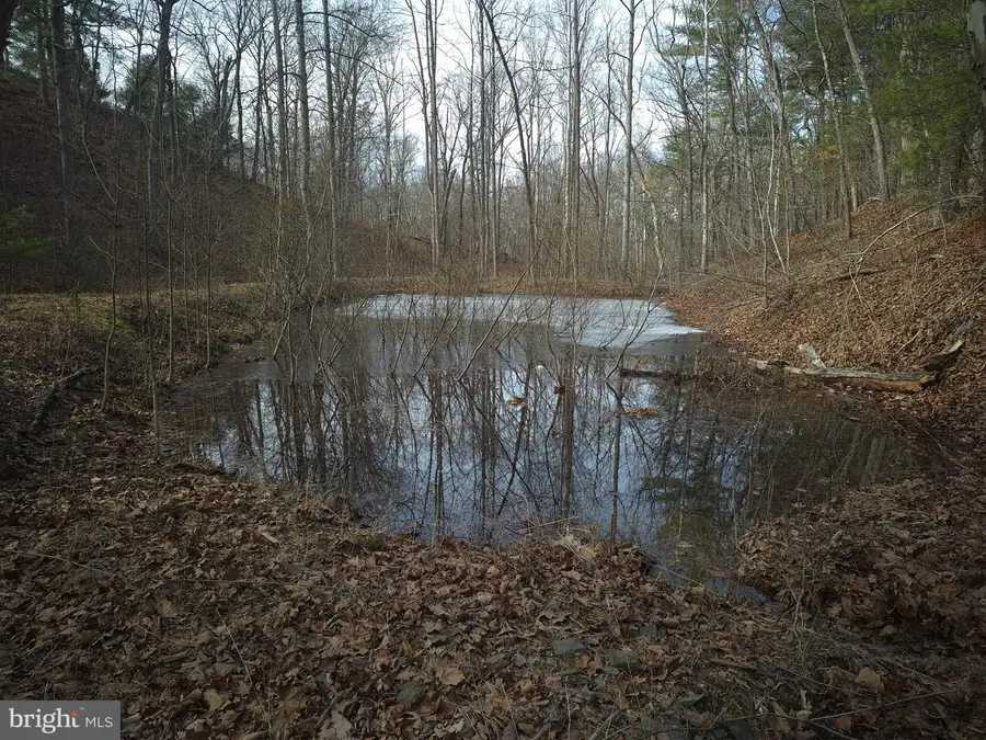 196 Hodges Ln, Winchester, VA 22603 - #2