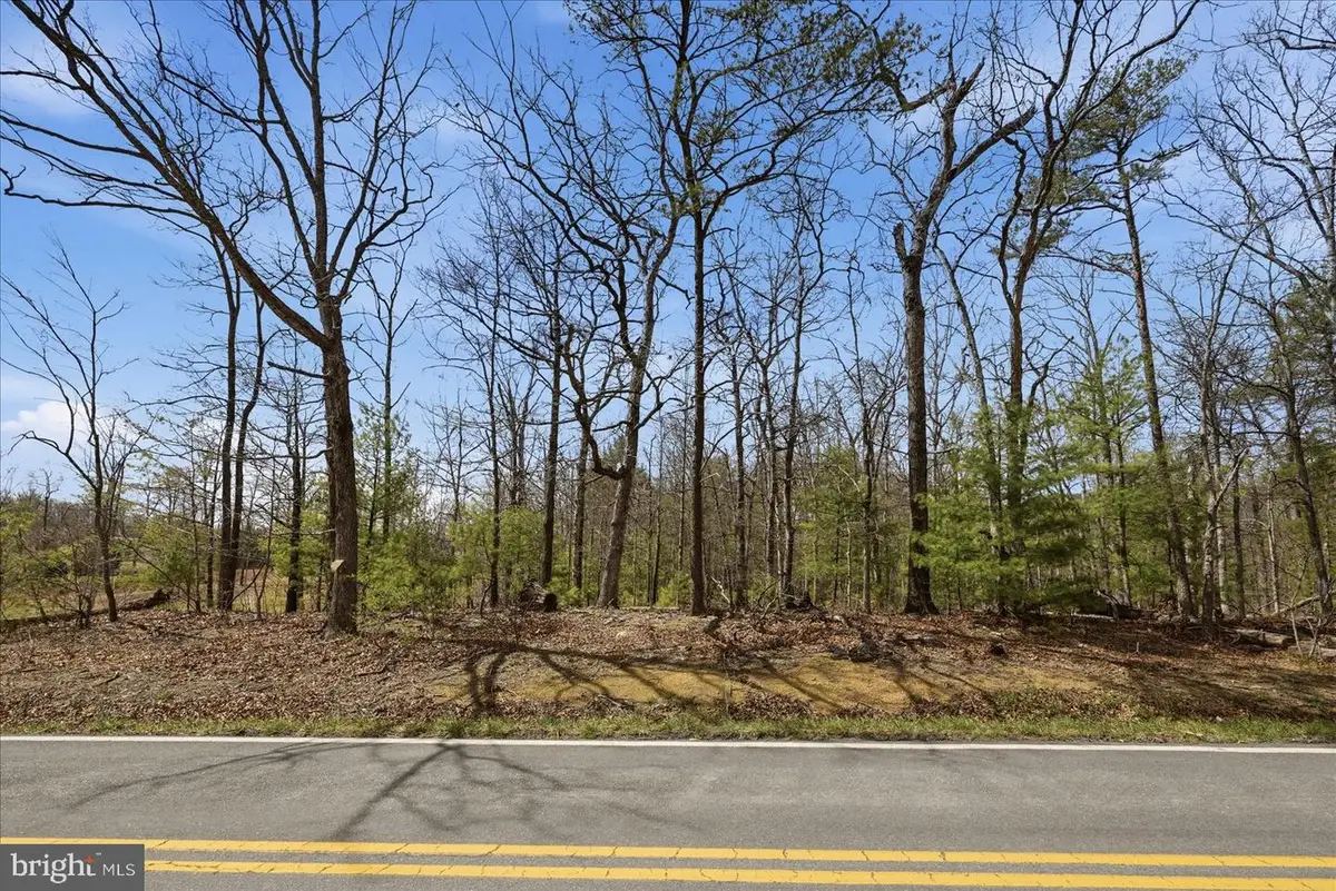 5.35 Ac # 16 B- Back Mountain Rd, Winchester, VA 22602 - #1