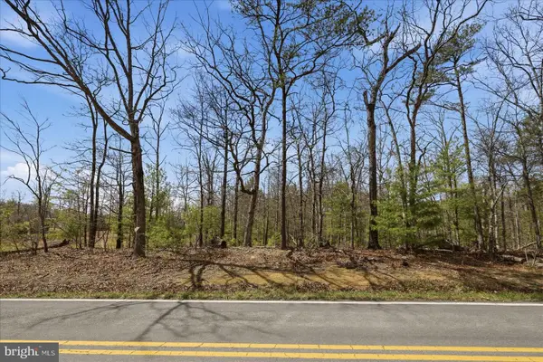 5.35 Ac # 16 B- Back Mountain Rd, WINCHESTER, VA 22602