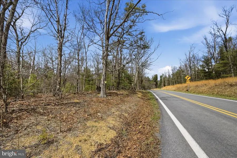 5.35 Ac # 16 B- Back Mountain Rd, Winchester, VA 22602 - #2
