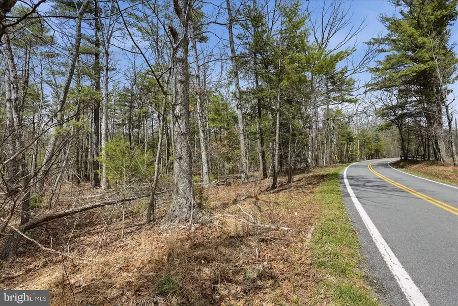 5.35 Ac # 16 B- Back Mountain Rd, Winchester, VA 22602 - #3