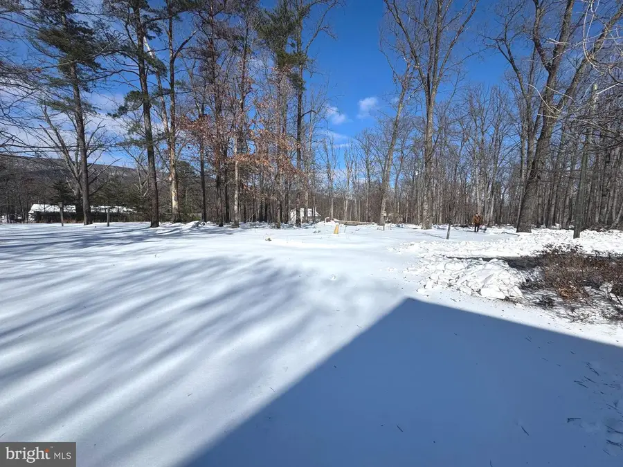 4403 Back Mountain Rd, Winchester, VA 22602 - #3