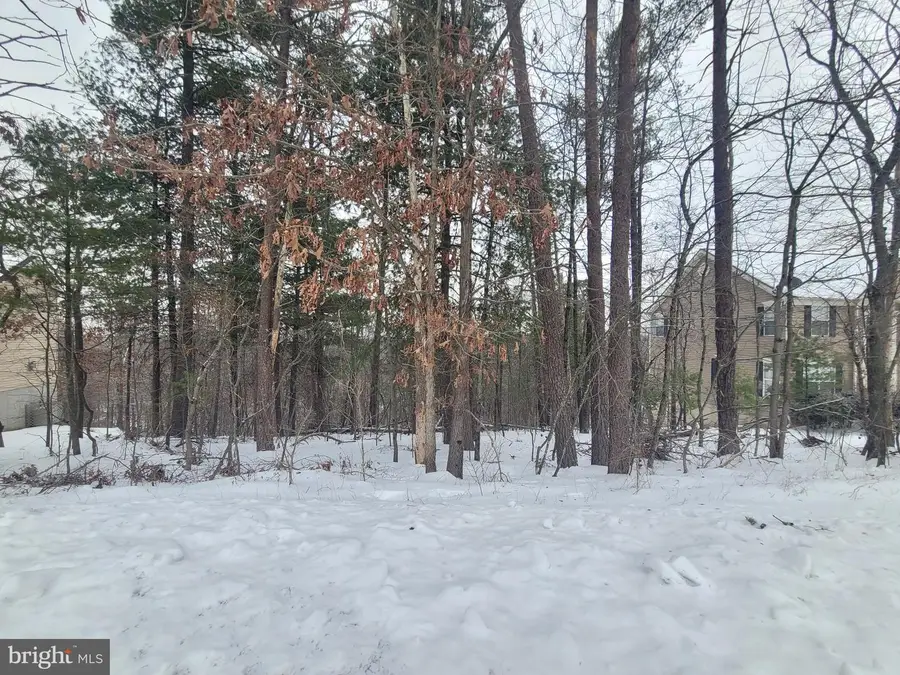 407 S Lakeview Dr, Cross Junction, VA 22625 - #3