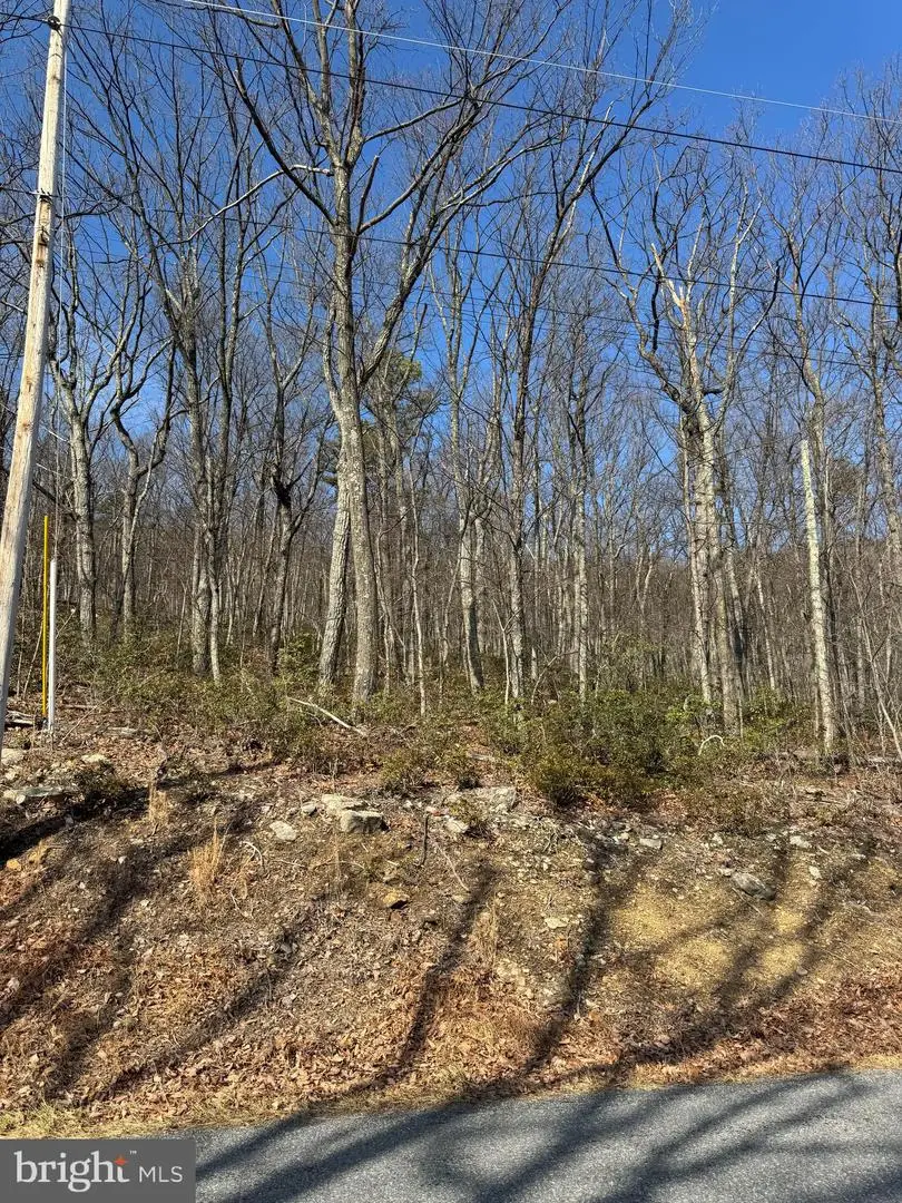 Lot 13 Tomahawk Trail 0, Winchester, VA 22602 - #2