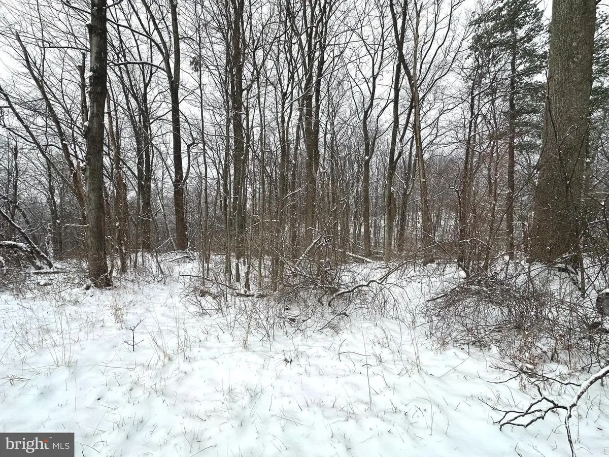 Lot 4 Duwamish Trl, Winchester, VA 22602 - #1