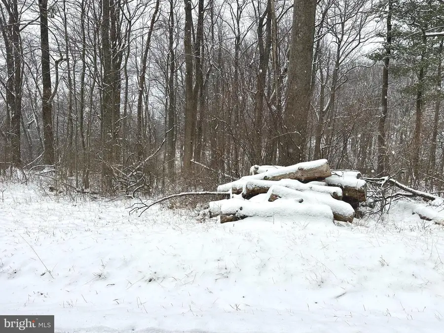 Lot 4 Duwamish Trl, Winchester, VA 22602 - #3