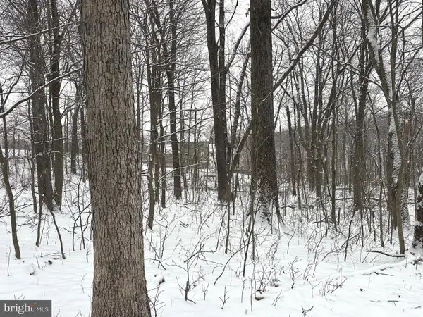 Lot 68 Killbuck Trl, WINCHESTER, VA 22602