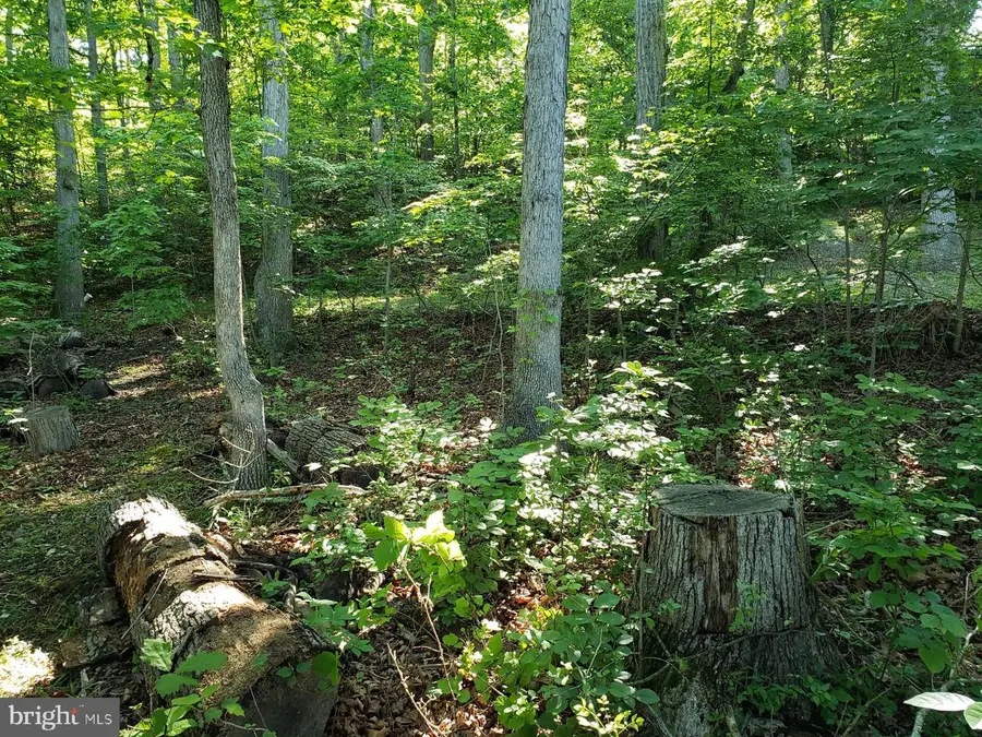 0 Lakeview, Cross Junction, VA 22625 - #3