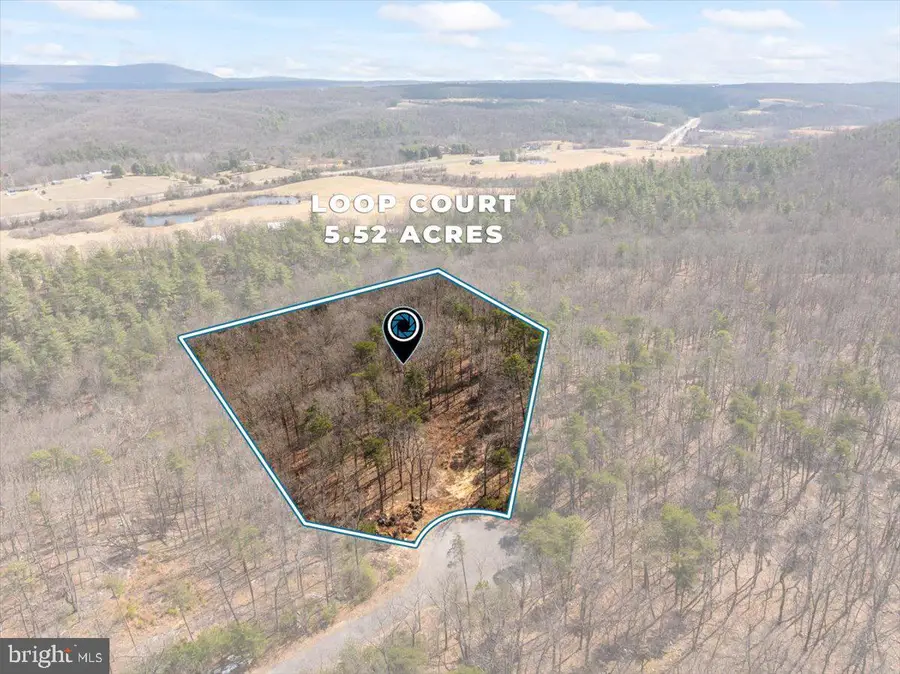 Lot 18 - Loop Court, Cross Junction, VA 22625 - #2