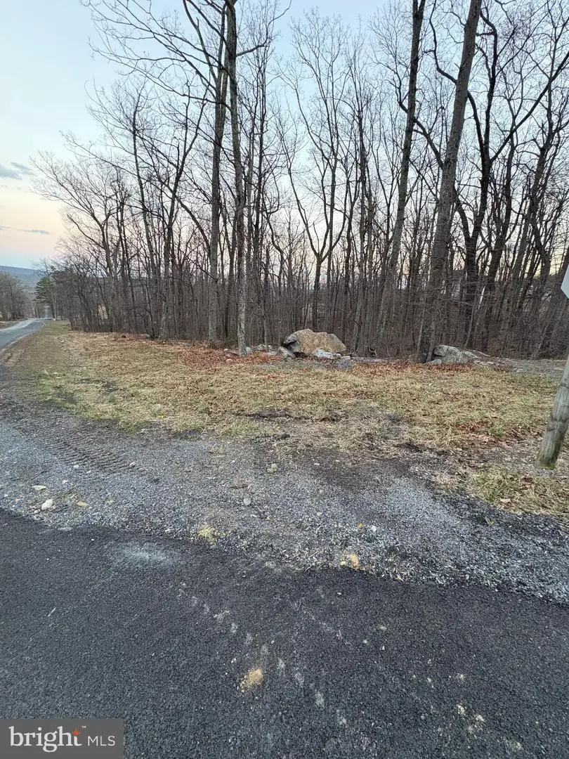 Lot 245 Inca Trl, Winchester, VA 22602 - #2