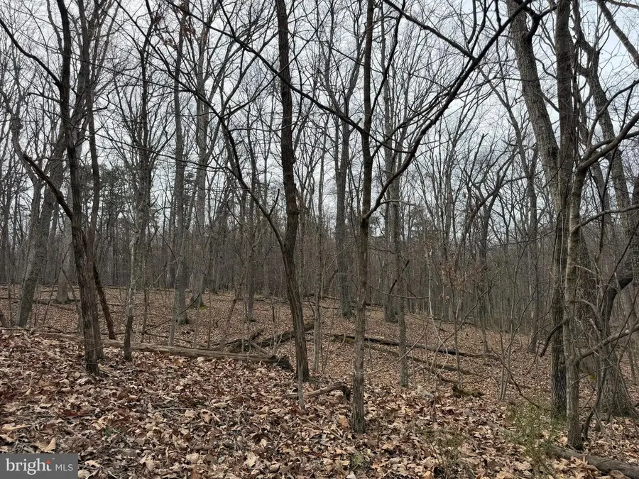 Logger Dr #lot 82, Gore, VA 22637 - #2