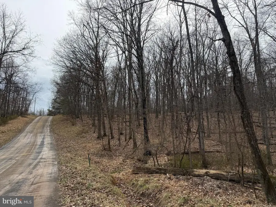 Logger Dr #lot 82, Gore, VA 22637 - #3