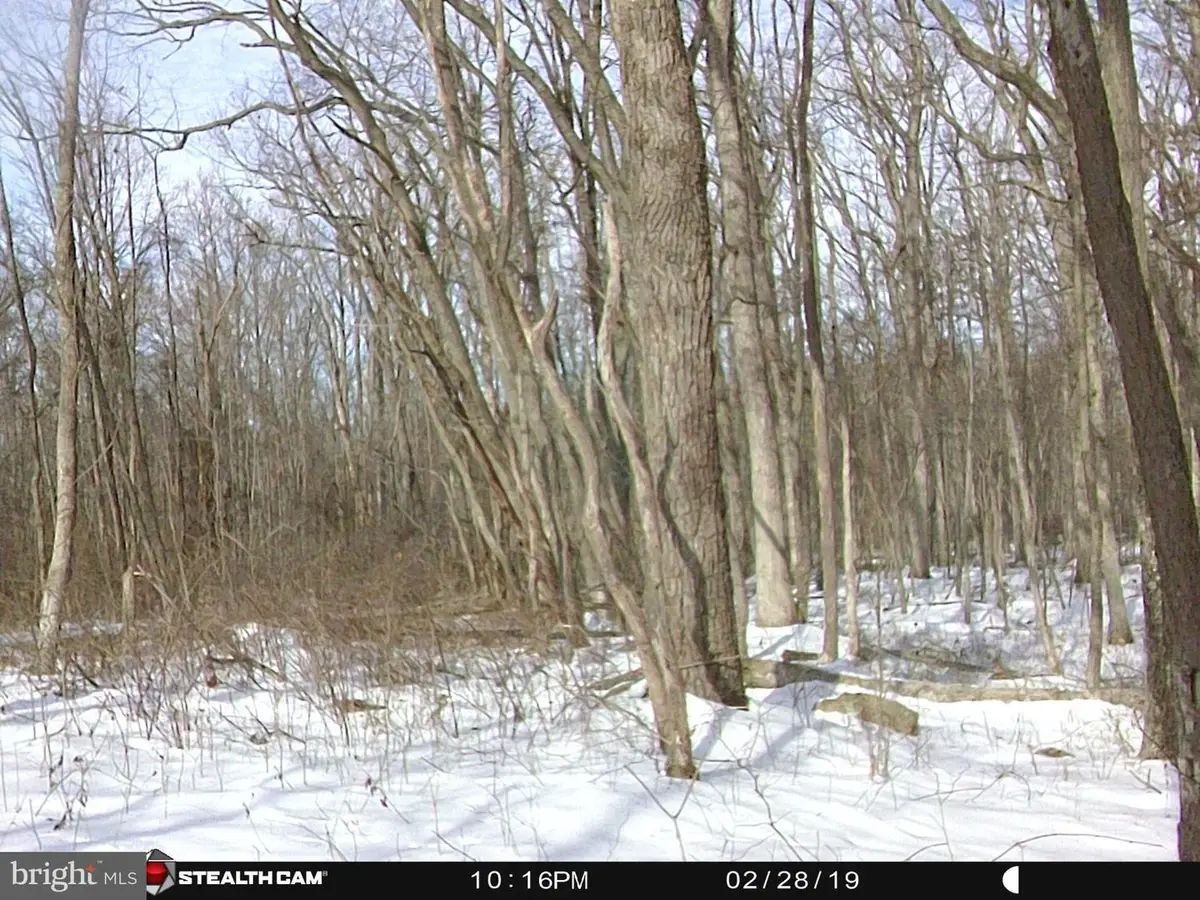 Hunters Rd, Back Creek, VA 22656 - #1