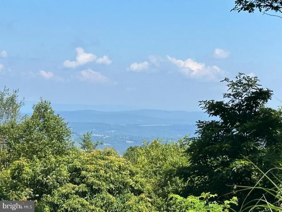 951 Bobcat Trl, Winchester, VA 22602 - #2