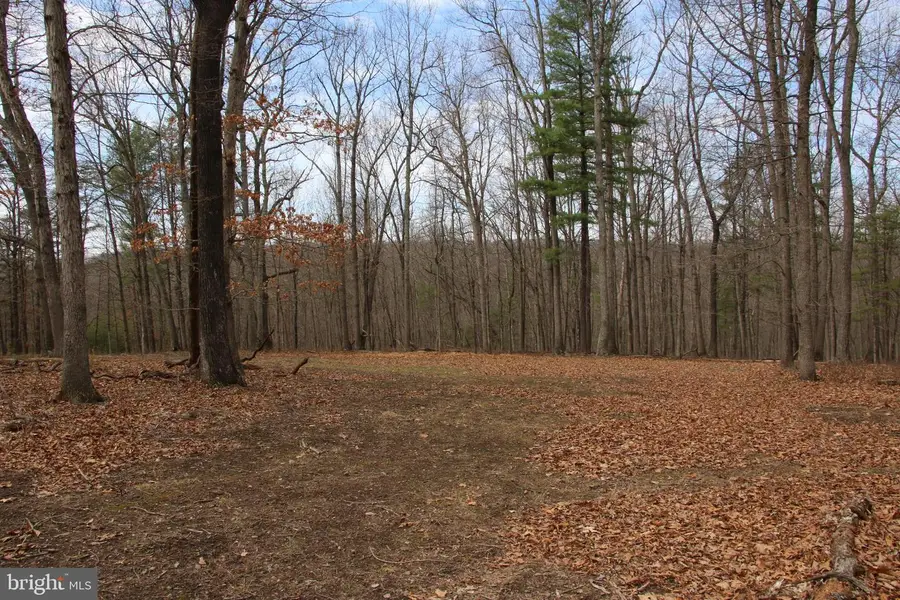 Trojan Ln, Winchester, VA 22603 - #2