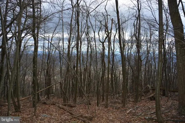 Rockwood Trl #49.61 Acres, WINCHESTER, VA 22602