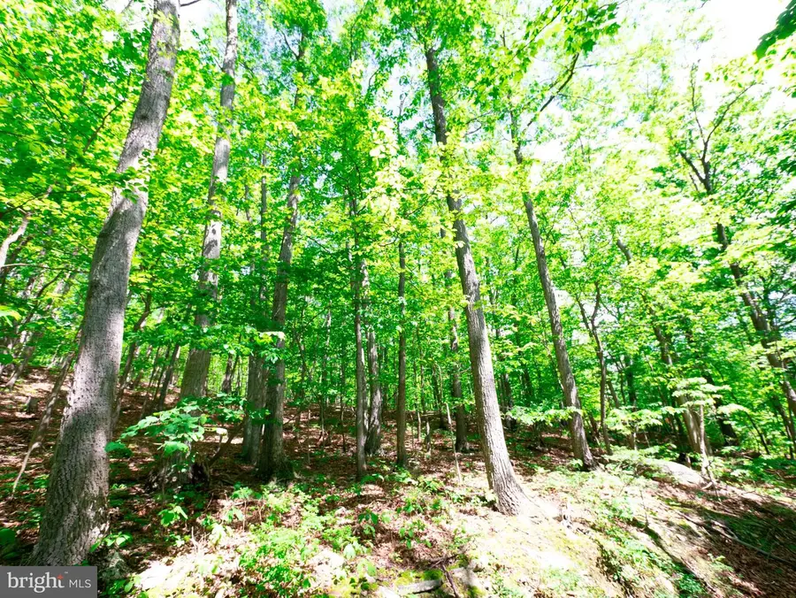 Lots 8 & 9 Elk Trl, Winchester, VA 22602 - #3