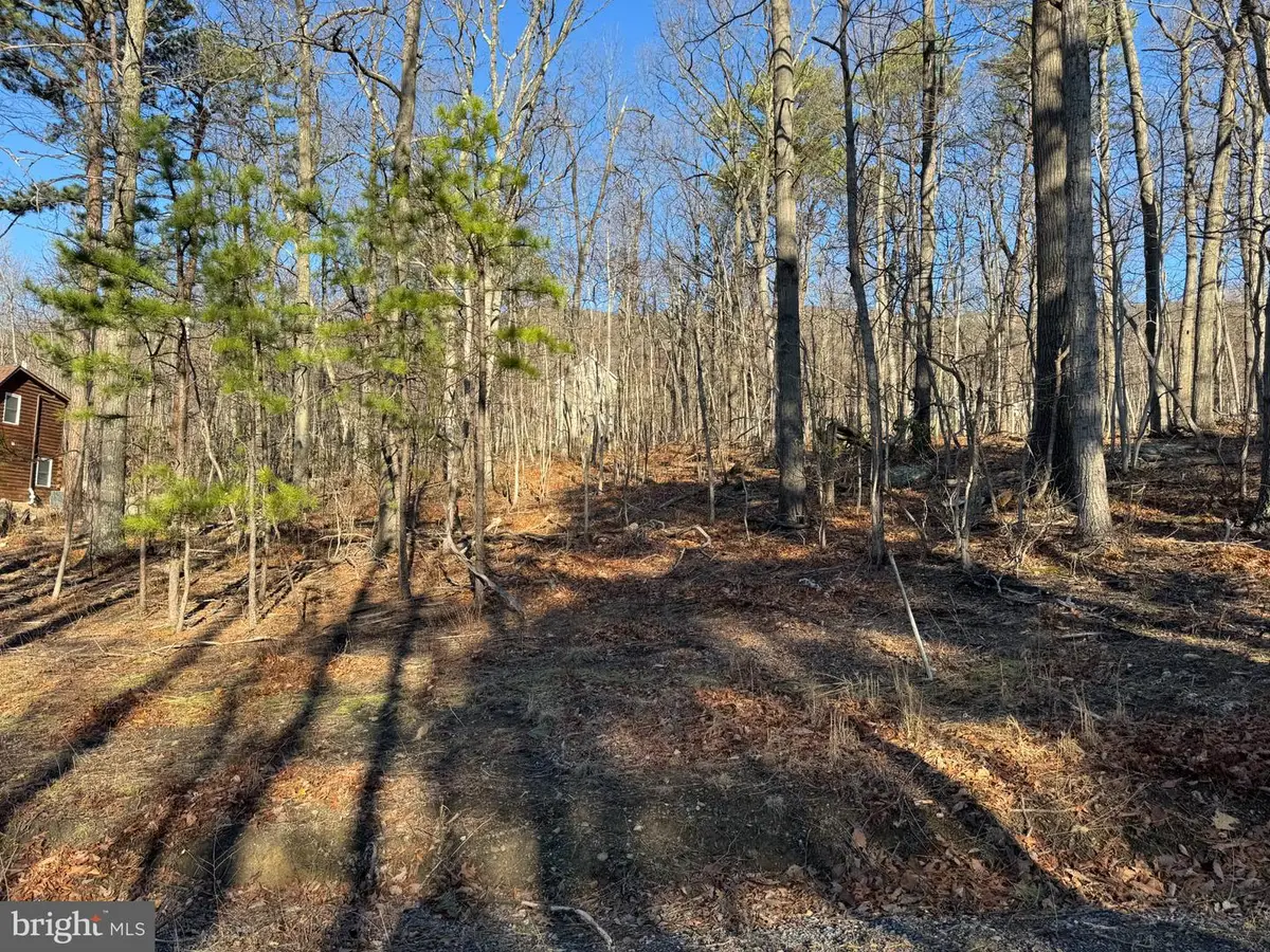 Lot 5 Quail Dr, Winchester, VA 22602 - #1