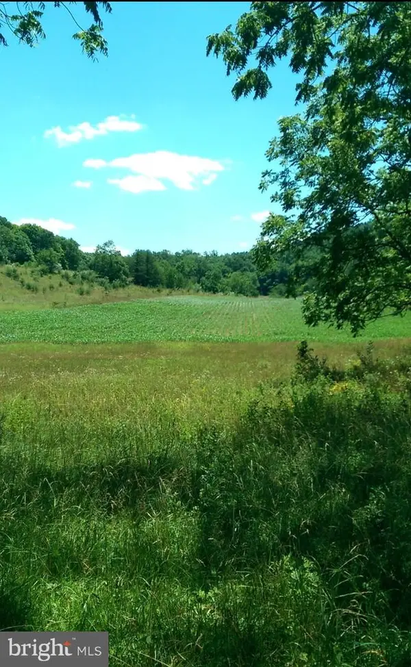 1112 Stony Hill Rd, WINCHESTER, VA 22603