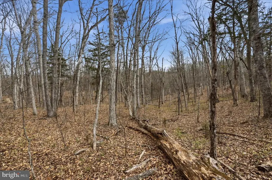 Lot 3 Arapaho Ln, Stephens City, VA 22655 - #2